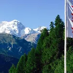 Edelweiss Mountain - 1 Hour Hike Up From Station - On Hiking Trail - No Transport