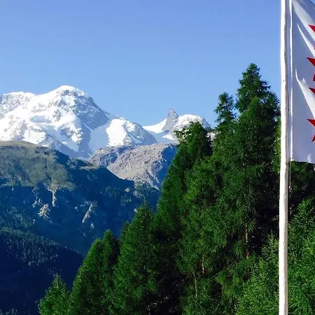 Edelweiss Mountain - 1 Hour Hike Up From Station - On Hiking Trail - No Transport
