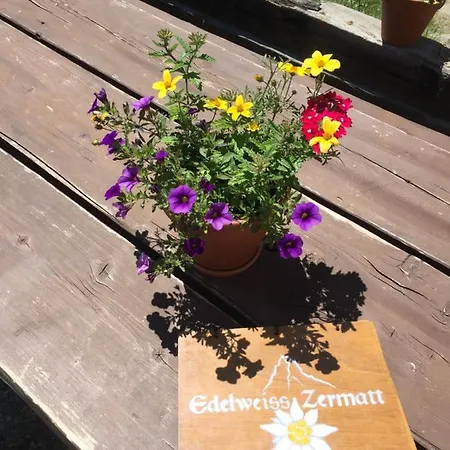 אכסניה Edelweiss Mountain - 1 Hour Hike Up From Station - On Hiking Trail - No Transport *