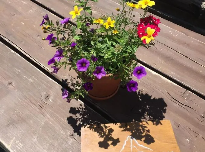 Lodge Edelweiss Mountain - 1 Hour Hike Up From Station - On Hiking Trail - No Transport *