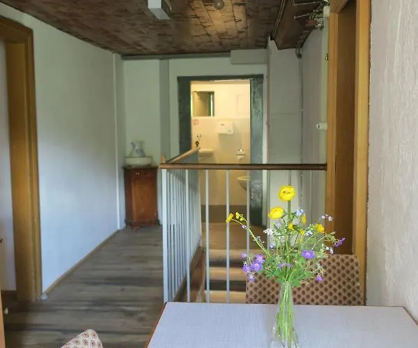 Edelweiss Mountain - 1 Hour Hike Up From Station - On Hiking Trail - No Transport Lodge Zermatt