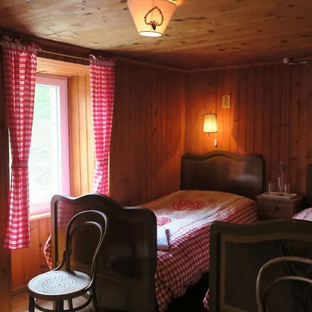 Edelweiss Mountain - 1 Hour Hike Up From Station - On Hiking Trail - No Transport *