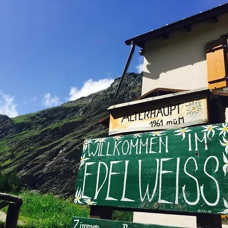 Edelweiss Mountain - 1 Hour Hike Up From Station - On Hiking Trail - No Transport * 采尔马特