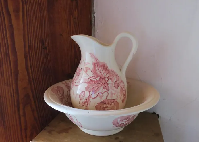 Edelweiss Mountain - 1 Hour Hike Up From Station - On Hiking Trail - No Transport Orman Evi