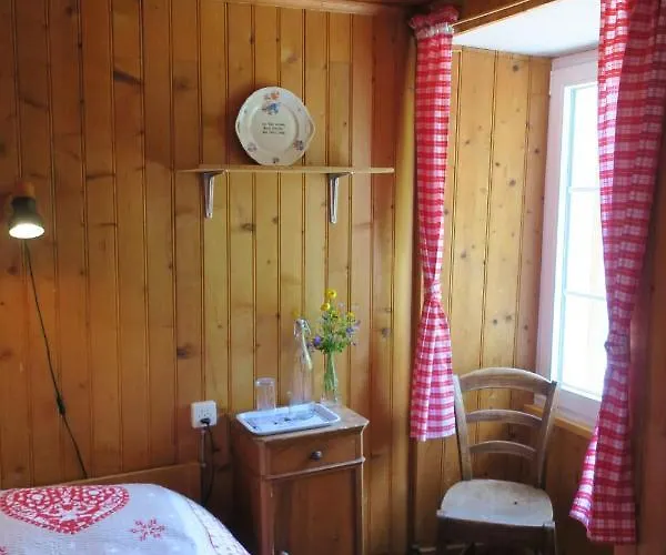 Edelweiss Mountain - 1 Hour Hike Up From Station - On Hiking Trail - No Transport * Zermatt